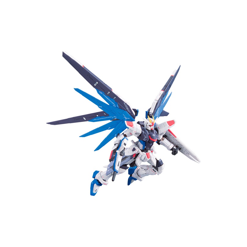 BANDAI Mobile Suit Gundam SEED - Model Kit Rg recensione e prezzo